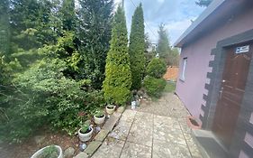 Lawendowy zakątek